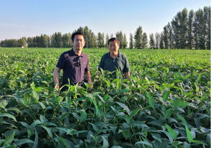 首農集團京蒙扶貧協作出實招