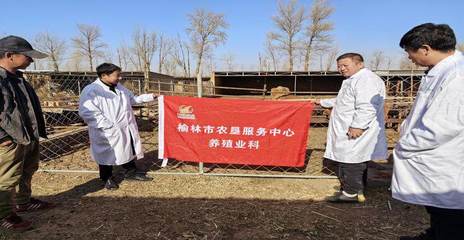 榆林市農(nóng)業(yè)農(nóng)村局_ 榆林市農(nóng)墾服務(wù)中心全力做好墾區(qū)養(yǎng)殖業(yè)服務(wù)工作