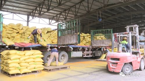 浠水海大飼料 以產品為舵，服務為帆，護航養殖業發展